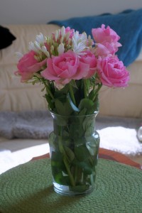 SONY DSC