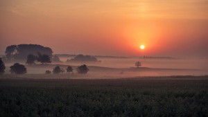 15190931302_e9d49cbec0_z