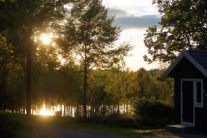 fb_img_1481230126253